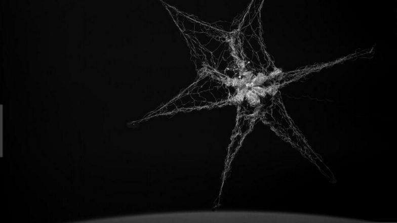 RemoveDebris: UK Satellite Successfully Carries out Experiment to Capture Space Junk