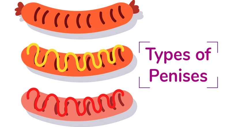 Donald Trump Has A Toadstool D*ck? Apparently, There Are the 7 Types of Penises, Which One Do You Have?