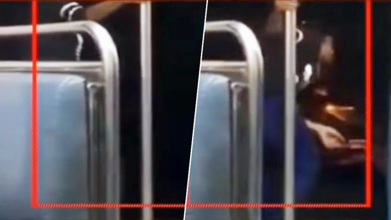 Video of a Young Woman Performing Stunt in Mumbai Local Train Goes Viral! Police Yet to Identify the Girl