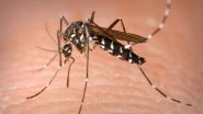 Zika Virus Outbreak India 2018: The Preventive Measures You Can Take to Keep the Vector-Borne Disease at Bay