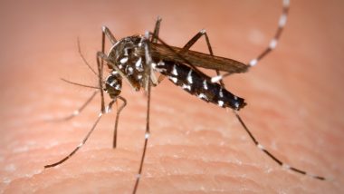 Zika Virus Outbreak in Rajasthan: 120 Positive Cases so Far, Govt Launches 'Door-to-Door' Survey