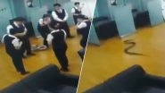 Python Falls From Ceiling Fan Right Amidst Bank Employees in China, Watch Video