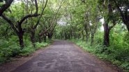 'Save Aarey' Setback: Bombay High Court Dismisses All Petitions Challenging BMC Decision Allowing Felling of Over 2,700 Trees For Metro Car Shade