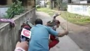 BJP Supporter Thrashed by TMC Leaders in West Bengal, Video Goes Viral on Social Media