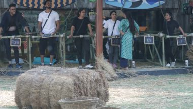 Bigg Boss 12, 16th October 2018 Episode Written Updates: Sreesanth Tries To Escape From The House