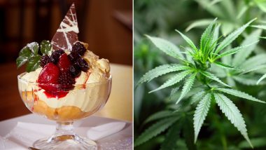 Cannabis Ice Cream? Florida Doctors Are Prescribing Weed-Infused Desserts To Reduce Pain and Anxiety