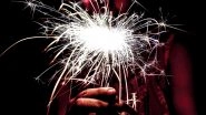 Cracker Bursting Time for Tamil Nadu During Diwali 2018: SC Allots 1 Hr in Morning and 1 Hr in Evening to Burst Firecrackers