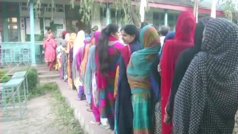Jammu & Kashmir Local Body Elections: Rajouri Records Highest Voter Turnout, No Enthusiasm in Valley