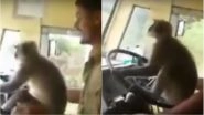 Video of Monkey Driving Bus in Karnataka Has Gone Viral, KSRTC Driver Removed from Duty