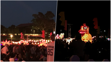 Moon Lantern Parade Held in Adelaide for OzAsia Festival in Australia, View Pics and Video of Beautiful Light Display