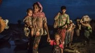 Rohingya Genocide Is Still Going On in Myanmar, Says Top UN Human Rights Investigator