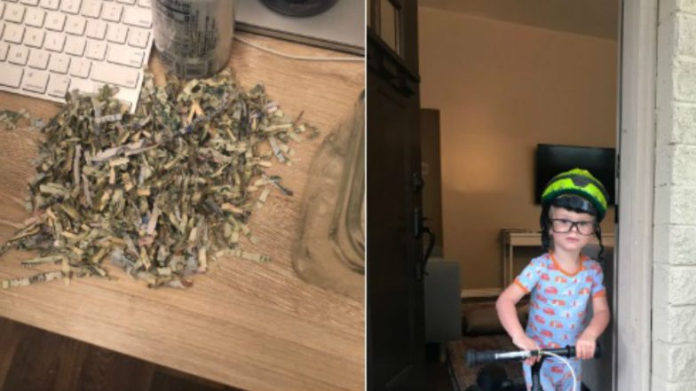 Toddler Shreds Up Parents USD 1,060 Savings for Utah Football Match Tickets, See Pictures