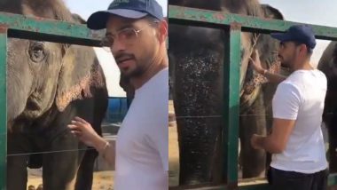 World Animal Day 2018: Sidharth Malhotra Talks About Acknowledging And Adopting Animals - Watch Video