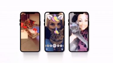 Snapchat Adds Cat Lenses! Now Your Feline Buddy Too Can Wear Fancy Glasses or Toast Hat