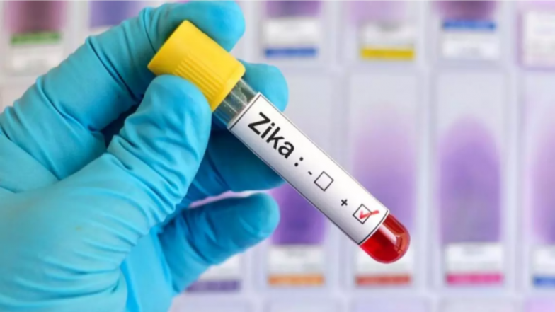 Zika Virus Cases Rise to 106 in Rajasthan, 324 Health Teams Deployed in Affected Wards, 1509 Houses Found Positive for Mosquito Breeding