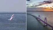 Rare White Dolphins Spotted Along the World's Longest Sea Bridge in China, See Videos and Pics