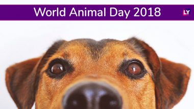 World Animal Day 2018: Know About the Day Campaigning For Animal Rights and Welfare