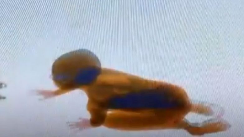 Child Sneaks Into X-Ray Baggage Scanner at China Railway Station (Watch Shocking Video)