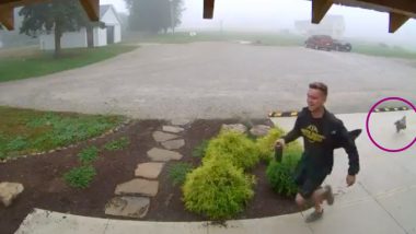 Guy Gets Chased By Chicken At Work At Indiana University, Watch Hilarious Viral Video