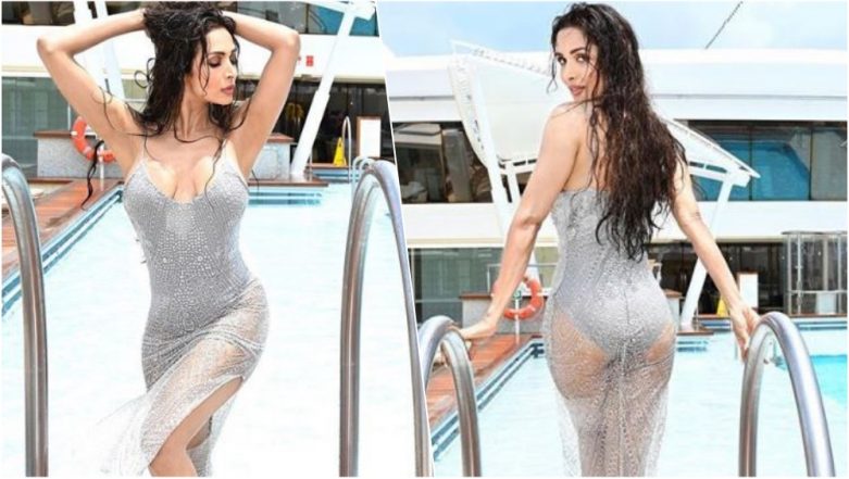 781px x 441px - Malaika Arora Looks Sultry and Tempting in This Silver Bathing Suit and  Sheer Slip! See Hot Pics From Her Latest Photo Shoot | ðŸ‘— LatestLY