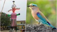 Dussehra 2018: Importance of &lsquo;Neelkanth&rsquo;; Know the Significance Behind Seeing the Indian Roller Bird on This Day