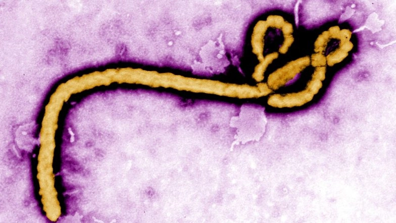 Ebola Advisory Issued by Centre After Outbreak in Congo, Bihar Asked to Keep Vigil for EVD Cases