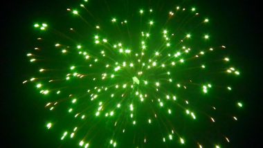 Diwali 2019: Green Crackers to Make the Festival of Lights Pollution Free, Says Delhi Police