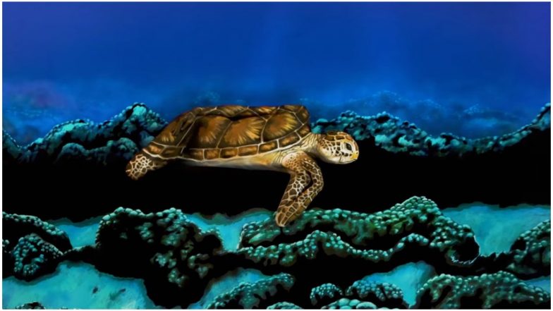 Body Painting Artist Johannes Stötter Transforms Model Into a Turtle! (Watch Video)