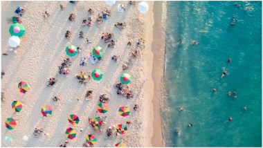 Red Tide in Miami-Dade County; Beaches Closed Due to Toxic Algae Along Atlantic Coast