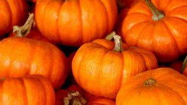 Pumpkin Health Benefits: 7 Reasons Why the Fruit Is More Than Just a Jack-o-Lantern for Halloween