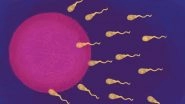 Sperm Count 50 Per Cent Lower in Sons of Fathers Who Smoke, Says Study