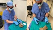 Neurosurgeon &lsquo;Operates&rsquo; On a Young Patient&rsquo;s Teddy Bear; See Heart-Warming Pics That Went Viral