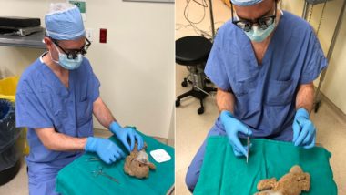 Neurosurgeon ‘Operates’ On a Young Patient’s Teddy Bear; See Heart-Warming Pics That Went Viral