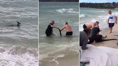 Australian Cops Rescue Kangaroo Drowning in Seawater, Video Goes Viral