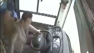 China Bus Accident Video: Driver Lost Control After Fight With Woman Passenger, 13 Lives Lost