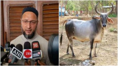 Telangana Assembly Elections 2018: Asaduddin Owaisi Asks 'Will BJP Give Me a Cow?'