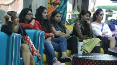 Bigg Boss 12, 13th November 2018 Episode Written Updates: Sreesanth and Karanvir Bohra Let The Bygones Be Bygones