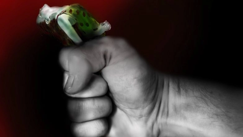 Andhra Pradesh: Man Knocks Wife Unconscious, Buries Her Alive in Nellore District