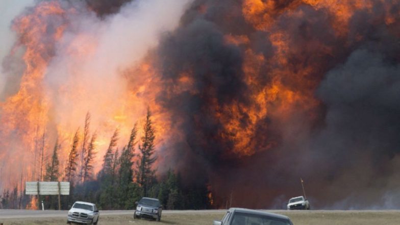 California Wildfires: 25 Feared Dead in Worst Fire Incident, Thousands Forced to Flee