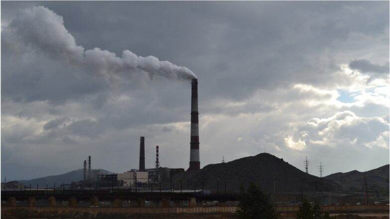 Chemical Pollutants in Home Degrade Fertility in Men and Dogs: Study Chemical Pollutants in Home Degrade Fertility in Men and Dogs: Study