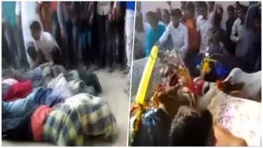 Govardhan Puja 2018 Celebrations: Villagers in Ujjain Crushed Under Cattle's Feet in Weird Ritual for Goodluck and Prosperity, Watch Shocking Video!