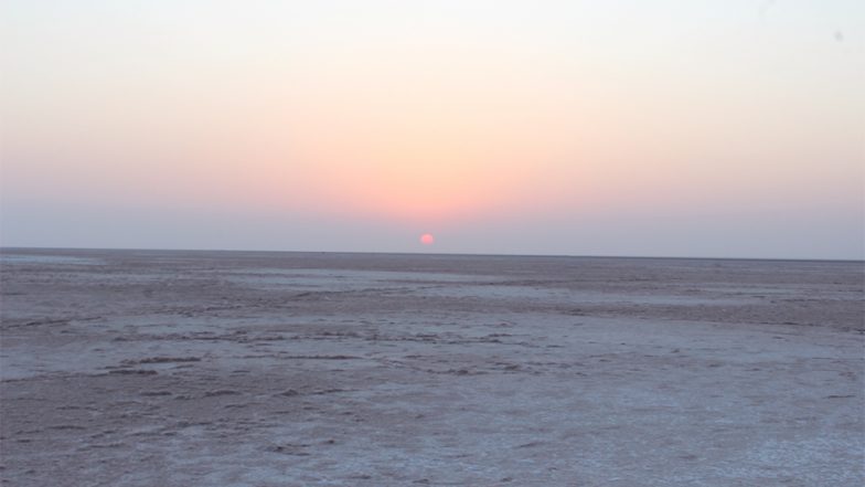 BSF Apprehends Indian National Near Indo-Pak International Border at Rann of Kutch, Man Says He Was 'Going to Meet His Pakistani Girlfriend'