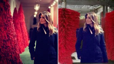 Christmas 2018 Decorations at White House: Pics and Video Shared by Melania Trump Lead to Funny Jokes and Memes