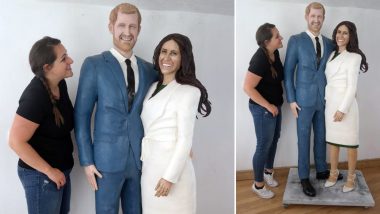 Prince Harry and Meghan Markle's Life-Size Cake Feature at Cake International 2018 in UK (Watch Video)