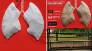 Delhi Air Pollution: Model of White Lungs Erected to Indicate Air Quality Turns Grey Within Two Days of Diwali, View Pics!
