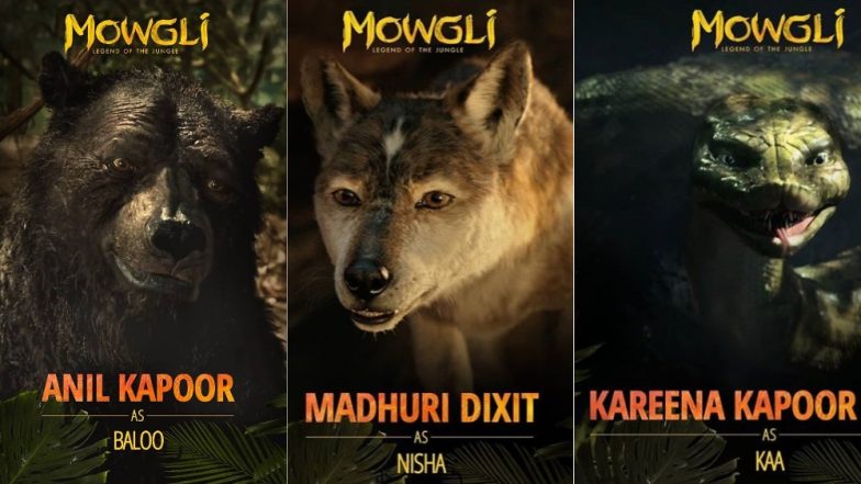 Madhuri Dixit And Anil Kapoor to Reunite On Screen For Netflix India’s Mowgli: Legend of the Jungle; Kareena Kapoor Khan Also Joins The Cast