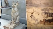5000-Year-Old Mummified Cats Uncovered From Egyptian Excavation Site in Cairo, View Pics