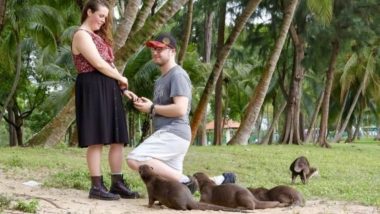 Best Wedding Proposal Picture: Cute Otters Photobomb UK Couple's Precious Moment, See Viral Photo!