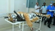 Avni Tigress Killing Case: T-1 Wasn't Shot Dead in Self-Defence, Reveals Post-Mortem Report