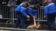 US Police Stop Topless Female Protesters Approaching Donald Trump Motorcade in Paris